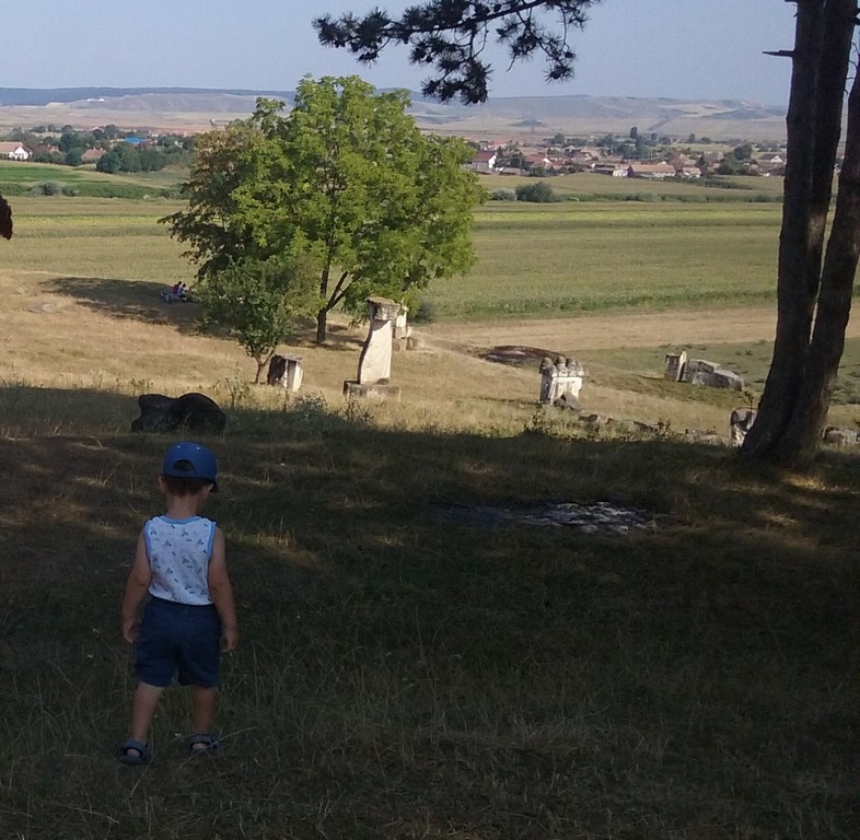Oarba de Mures, Mausoleu, ostasi, obiective din Romania, atractii turistice