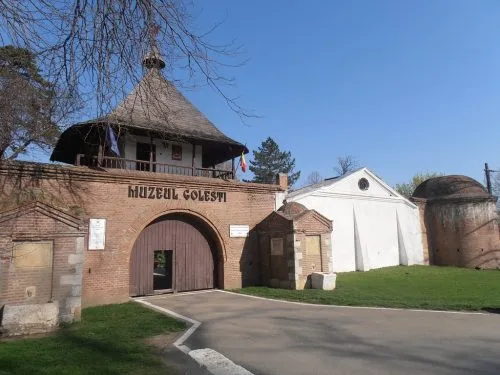 CONACUL GOLESTILOR, VILA FLORICA A BRATIENILOR, CONACUL MICESTI