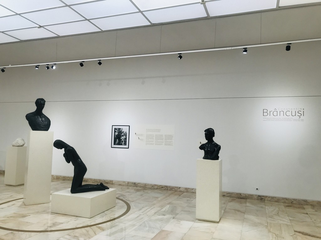 Constantin Brancusi, Muzeul National de Arta, Bucuresti
