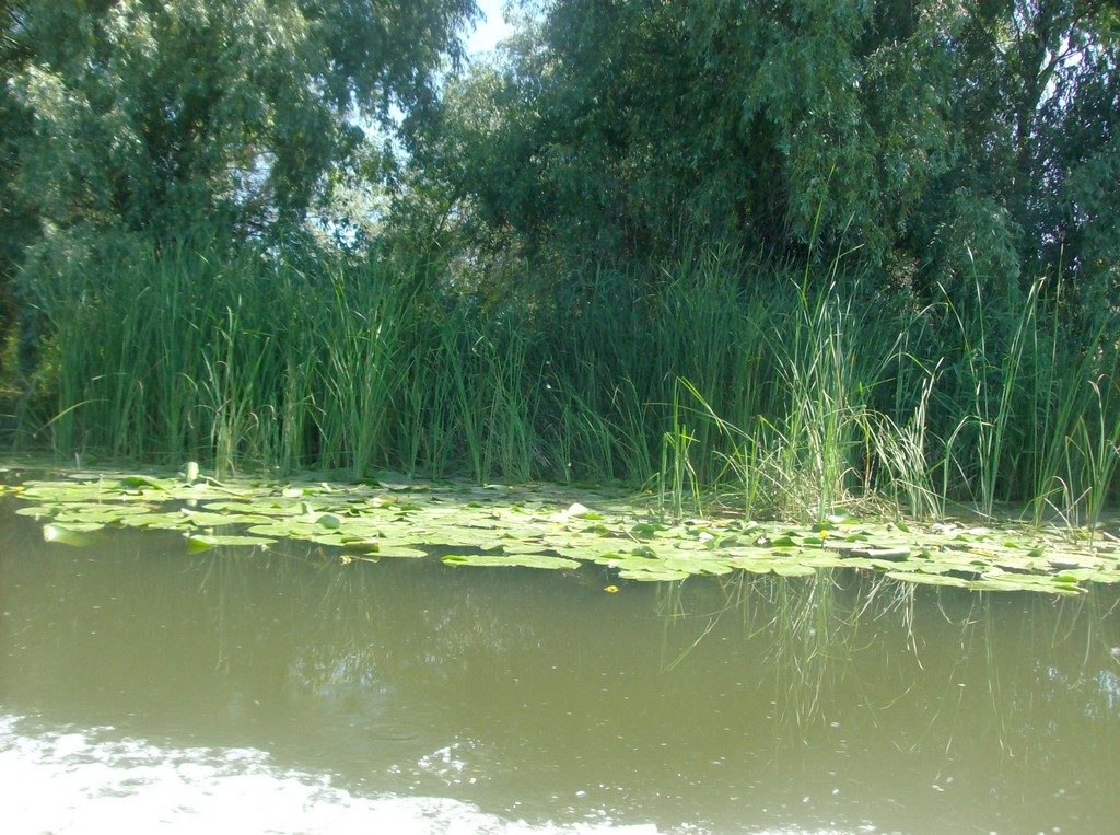 Delta Dunarii, Canalul Dranov, Cherhanaua Perisor, Marea Neagra, la pescuit