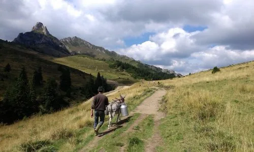 CHEIA SI MINUNATUL TRASEU PANA LA VARFUL CIUCAS. LA TABLA BUTII DIN SATUL SLON.