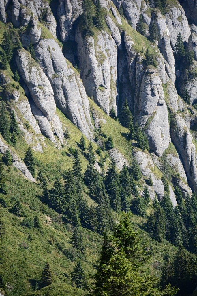 traseul Varful Ciucas, obiective turistice Romania, Prahova, traseu de o zi din Bucuresti