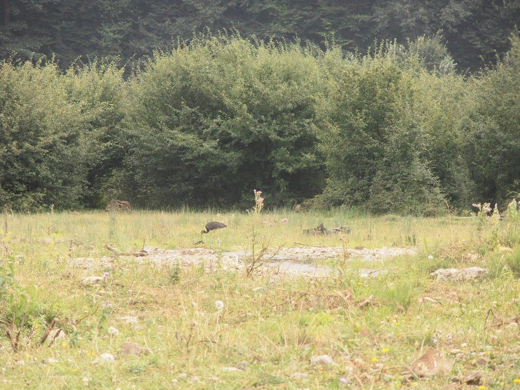 De la Gura Humorului la Slatina si Voronet, obiective turistice Bucovina, manastiri Romania
