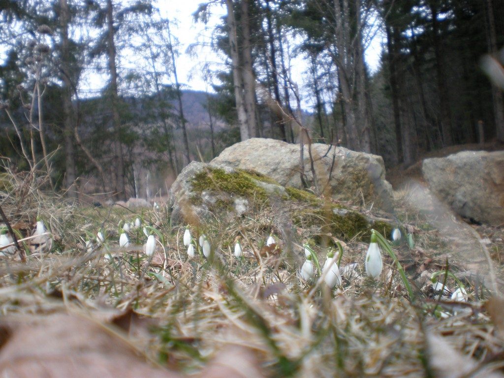 Piatra Neamt si imprejurimi, obiective turistice, Moldova Romania