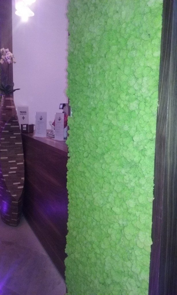 Therme, ce sa faci, cum sa ajungi aici, cat costa, unde sa manancii, obiective turistice Bucuresti
