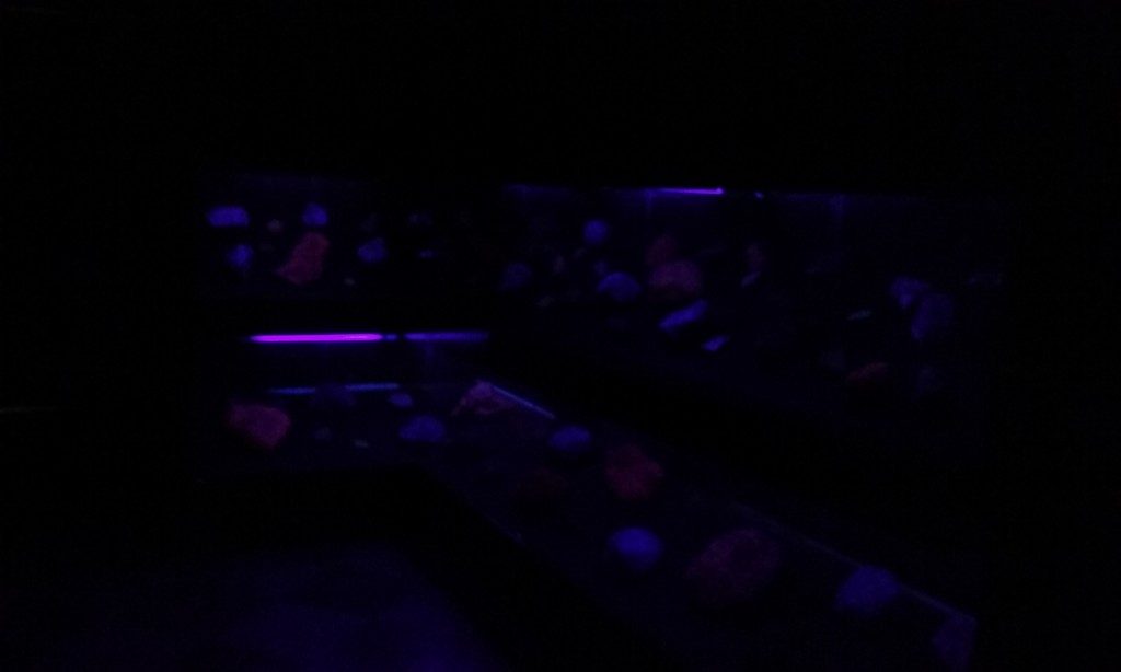 Muzeul de Geologie, Mineralogie, Bucuresti , obiective turistice Romania(48)