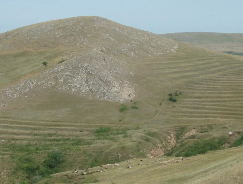 Cetatea Heraclea