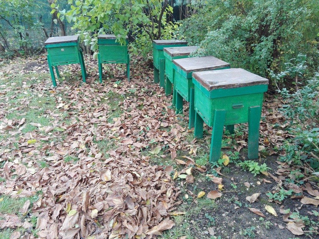 prisaca, Casa memoriala Tudor Arghezi, obiective turistice Bucuresti (35)