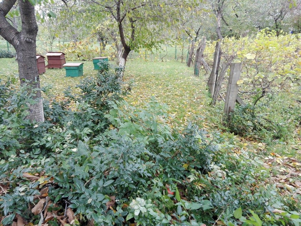 Casa memoriala Tudor Arghezi, obiective turistice Bucuresti