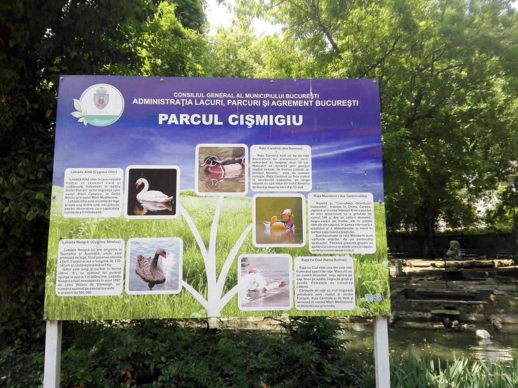 Parcul Cismigiu, obiective turistice Bucuresti, Romania