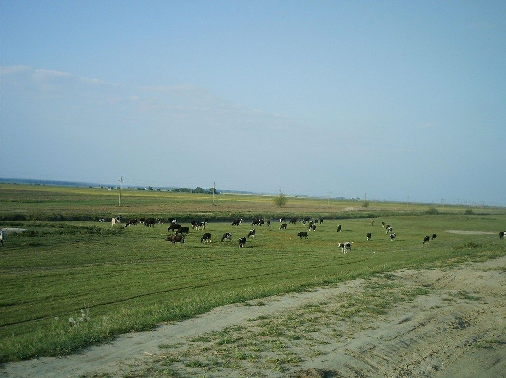 Obiective turistice Giurgiu, Romania, Muzeul Judetean, arhitectura, cetatea, faleza, arta, Perla