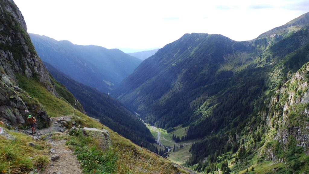 Varful Moldoveanu, Fagaras