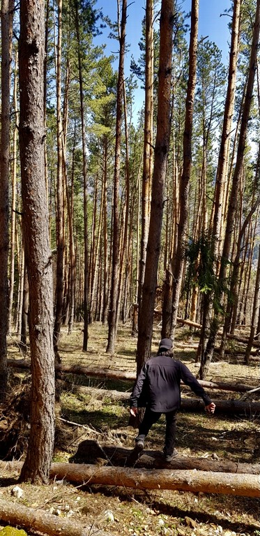Crucea lui Mihai Viteazul de la Stoenesti, Valea Badenilor, Arges, obiective turistice Romania