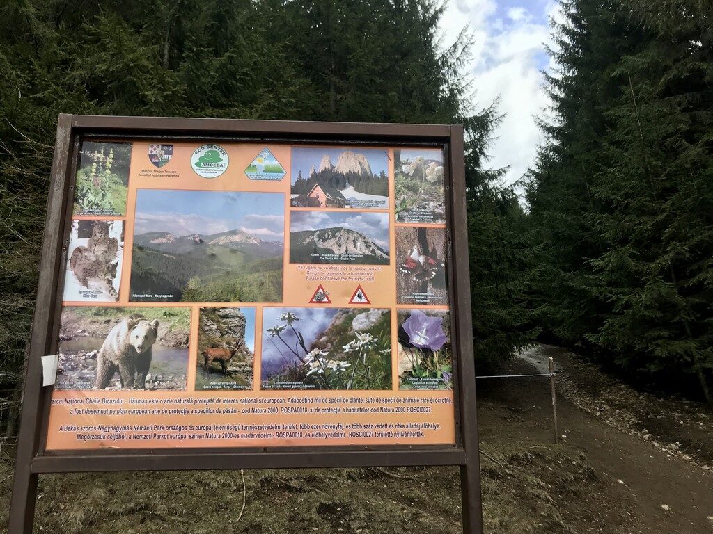 Cabana Piatra Singuratica, Muntii Hasmasu Mare, traseu munte, Romania, Transilvania, Harghita