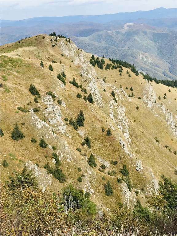 Lacul Vulturilor, Muntii Siriu, obiective turistice Buzau, drumetie, circuit