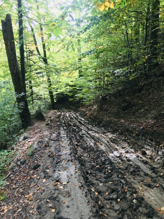 Lacul Vulturilor, Muntii Siriu, obiective turistice Buzau, drumetie, circuit