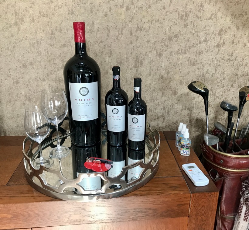 Crama Domeniile Sahateni, Aurelia Visinescu, degustare vinuri, turism oenologic, turims viticol, Dealu Mare, Feteasca Neagra