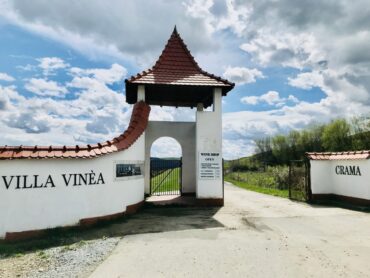 Vizitare Crama Villa Vinea, degustare vinuri, Podgoria Tarnavelor, turism oenologic, turism viticol, obiective turistice Romania