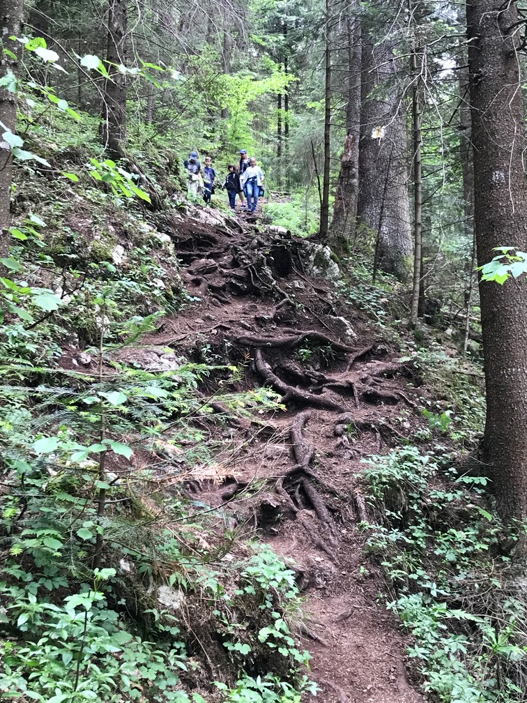 Cheile Bicajelului, obiective turistice Romania, traseu montan, drumetie
