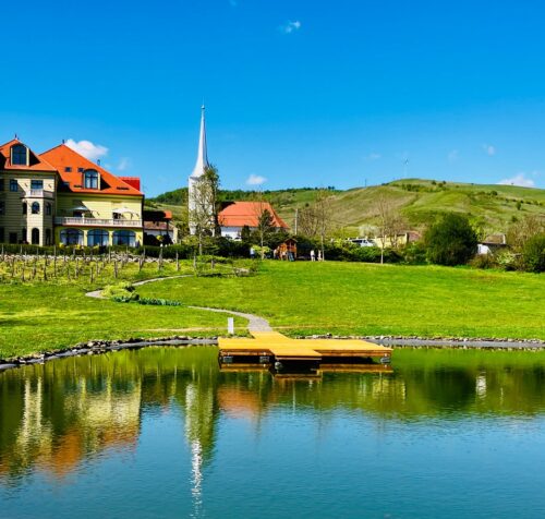 PETRY ESTATE WINERY – Unde istoria Transilvaniei se varsă în pahar…