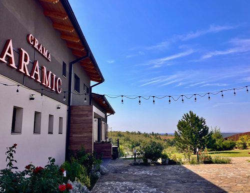 CRAMA ARAMIC: O poveste despre vin, pasiune și tradiție în Dealurile Silagiului