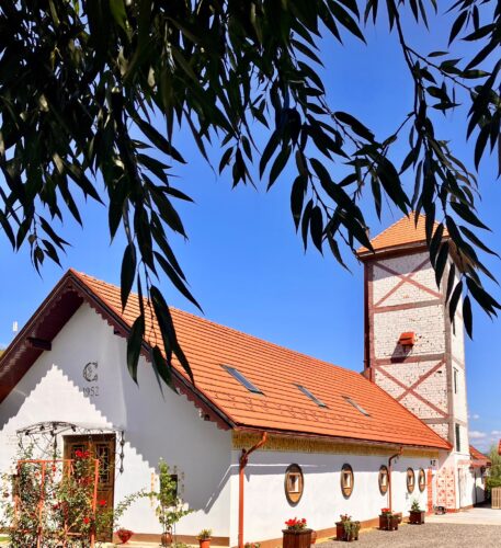 POARTA SUFLETULUI ȘI CRAMA SÂNTU. Turism oenologic și degustare de vinuri în Transilvania