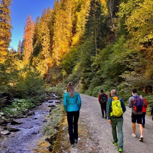 WEEKEND DE POVESTE PE VALEA VÂLSANULUI. O vacanță reușită cu copiii în Argeș